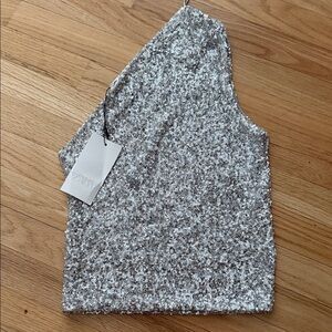 Zara Silver Sequin Crop Top